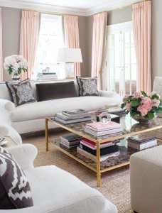 light-modern-living-room-scheme